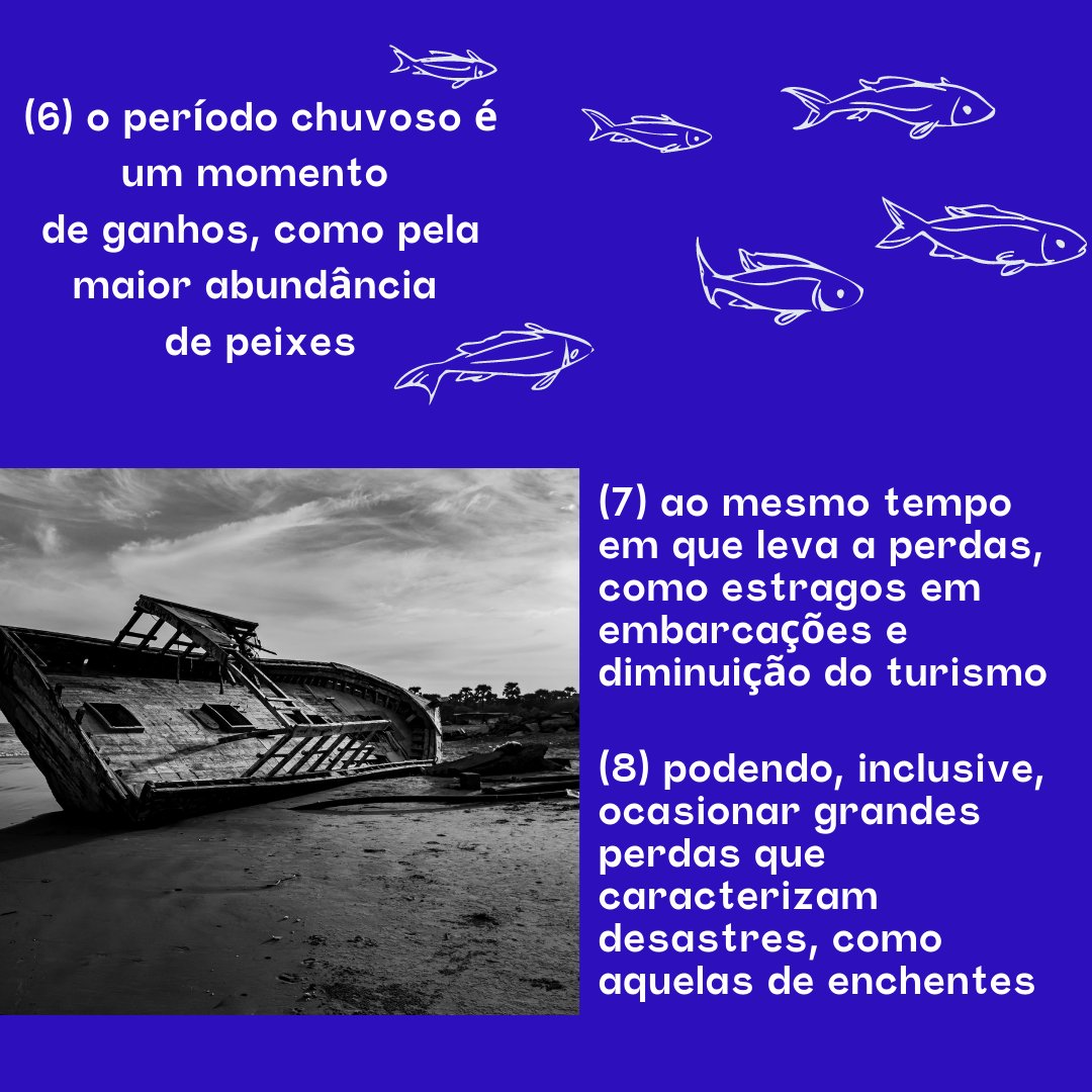 Será Que Chove? tweet media