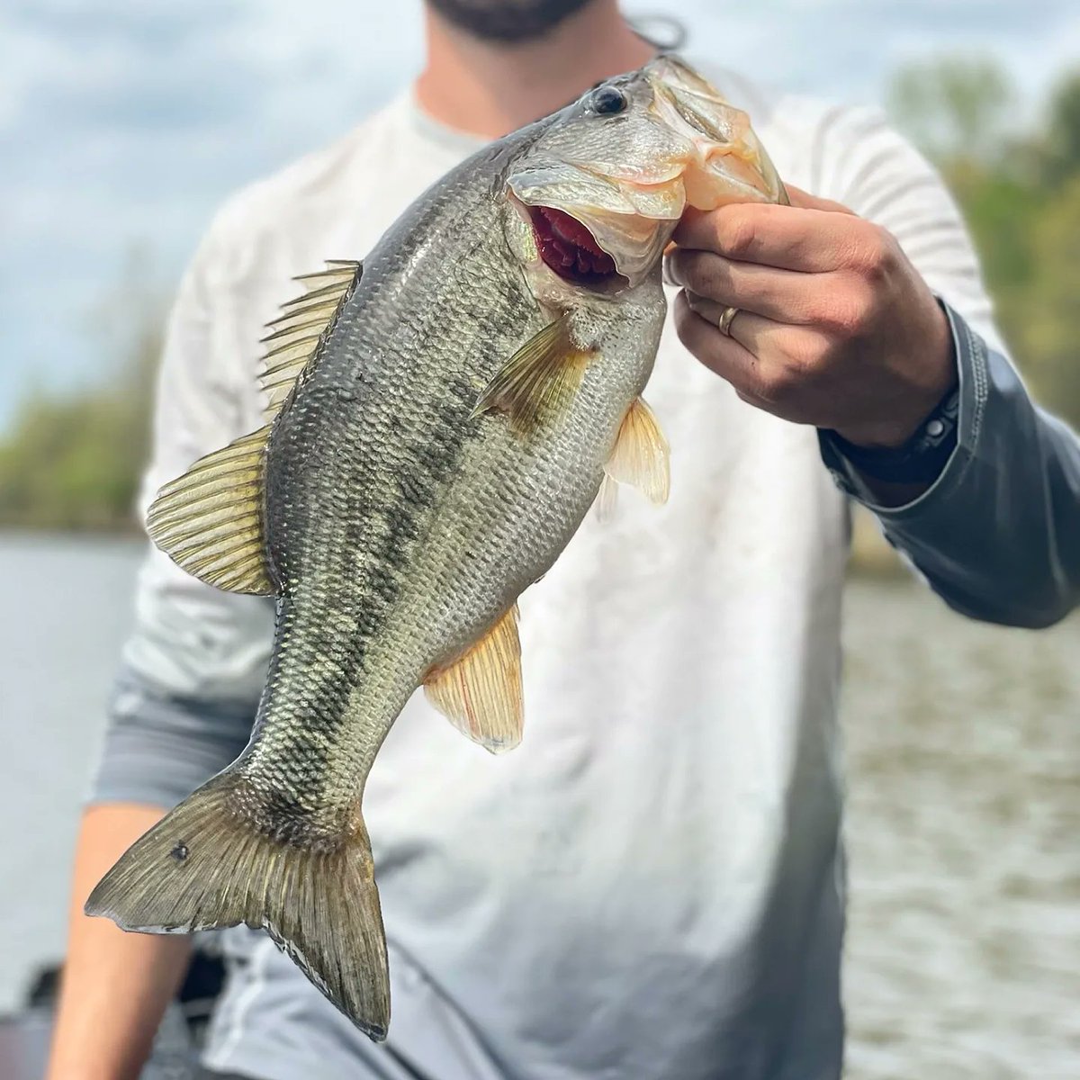 WVWhitetailCo's tweet photo. Casey with a BAG!
After two broken rods and cut up hands.. Last day redemption is an understatement with a total of 14lbs. https://t.co/jLHPUf3VH8