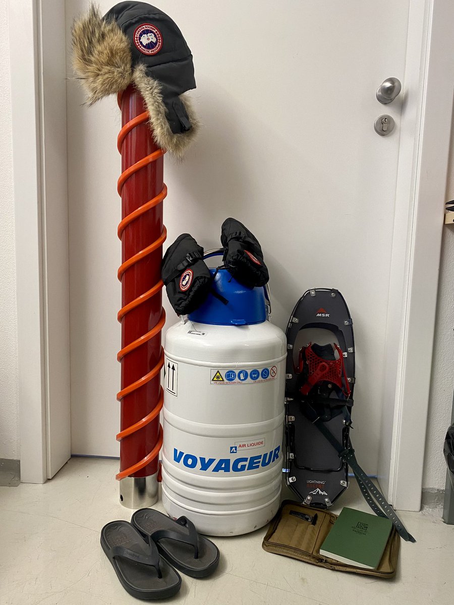 Marie Šabacká tweet media