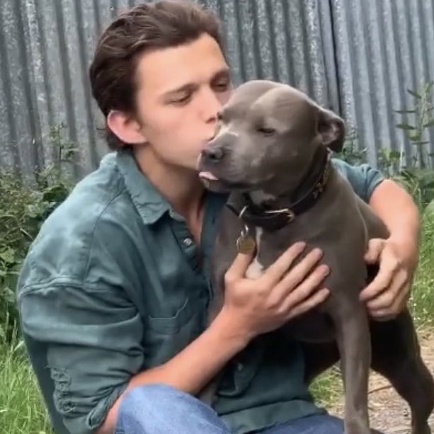 tom holland e tessa holland ao longo dos anos, uma thread extremamente fofa 💌 (parte 3)