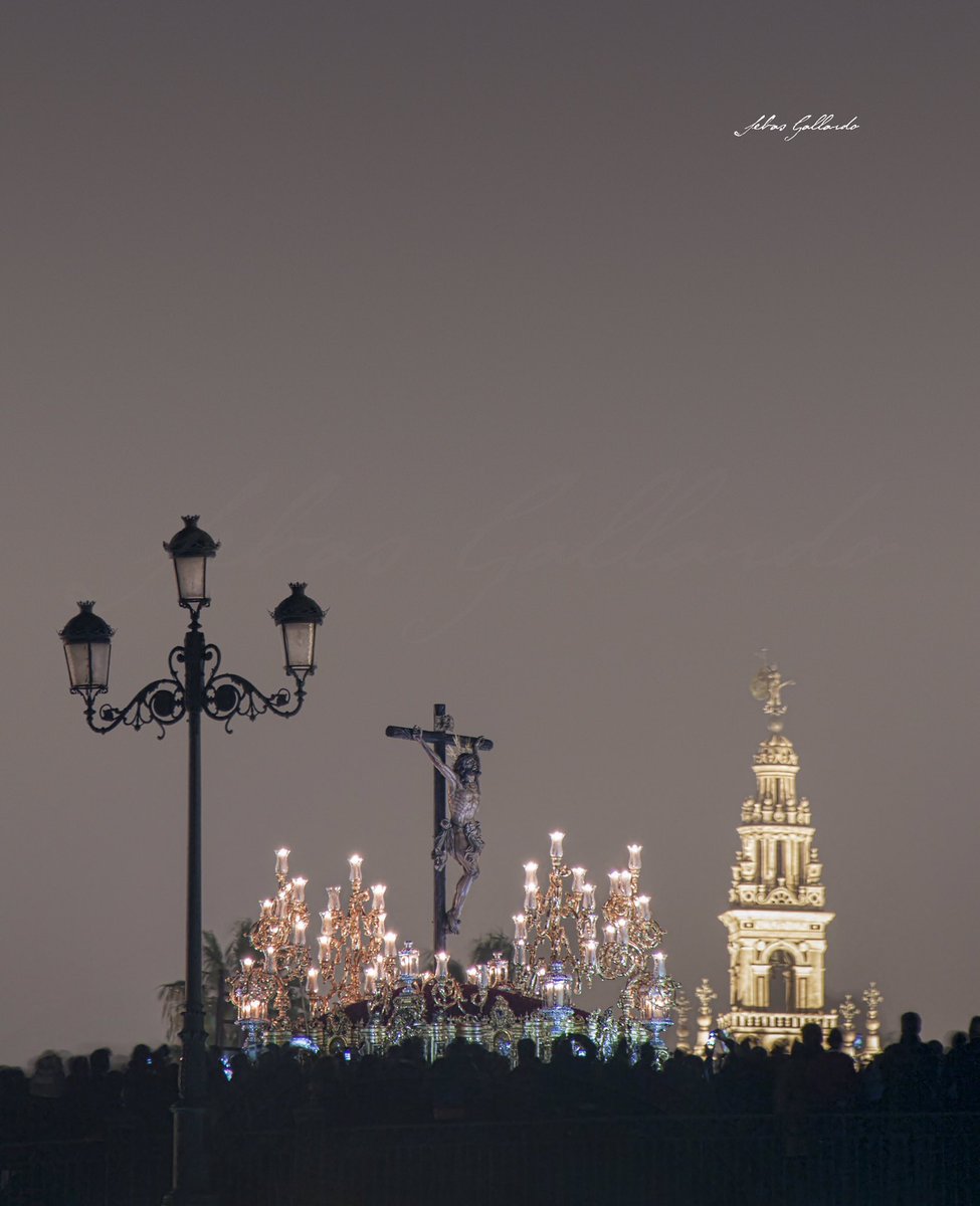 Sebas_Gallardo_'s tweet photo. Cómo es tradición, cada Vienes Santo, comparto una de las fotografías que más gozos me ha dado: Cachorro. https://t.co/FCiDfW71Vi