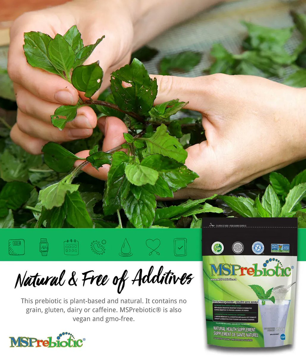 Natural and additive-free!  MSPrebiotic® is a #plantbased prebiotic that is #grainfree,  #glutenfree, #dairyfree and #caffeinefree.