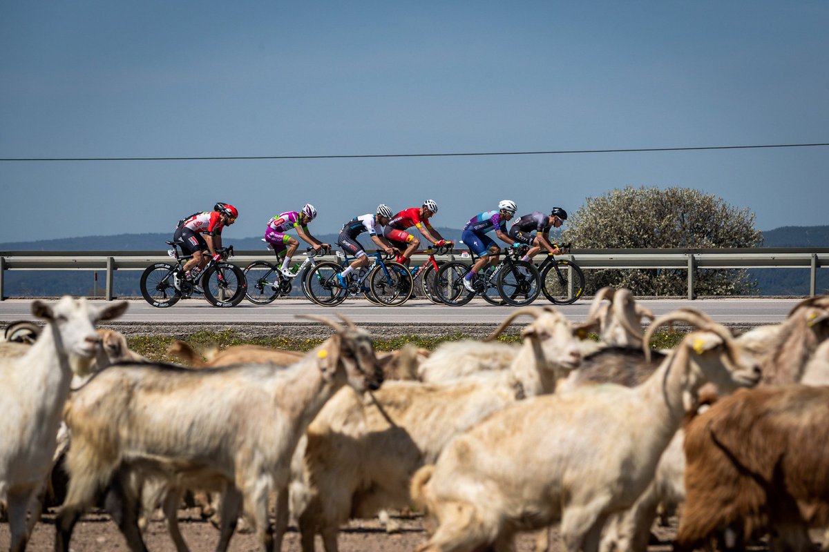 #TUR2022 6. ETAP Edremit Eceabat 🌿🌉

Breakaway!

📸 <a href="/yucel_cakiroglu/">Yücel Çakiroğlu</a>