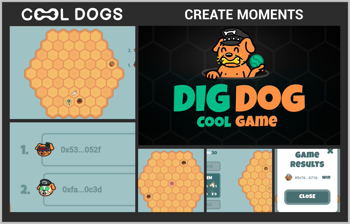 Cool Dogs tweet media