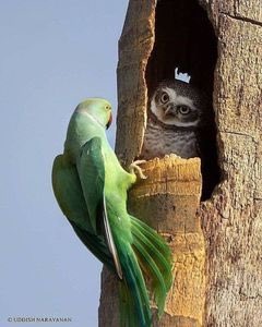 Acker // ❄️ANDRE IS HERE!!!❄️ tweet media