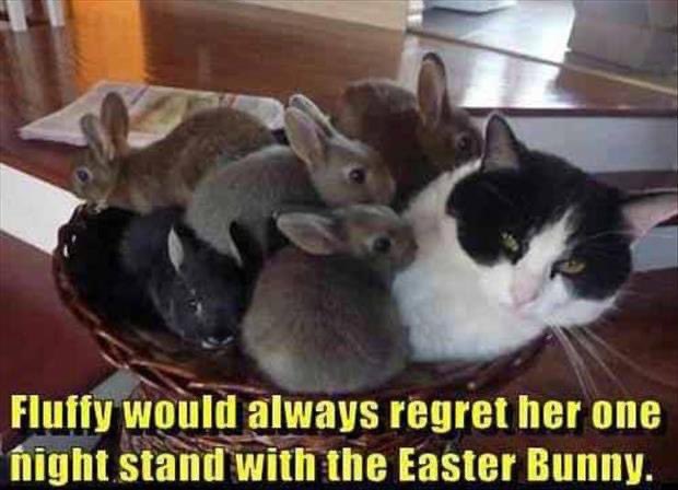 purrsleigh's tweet photo. https://t.co/9PxiKgUWZZ