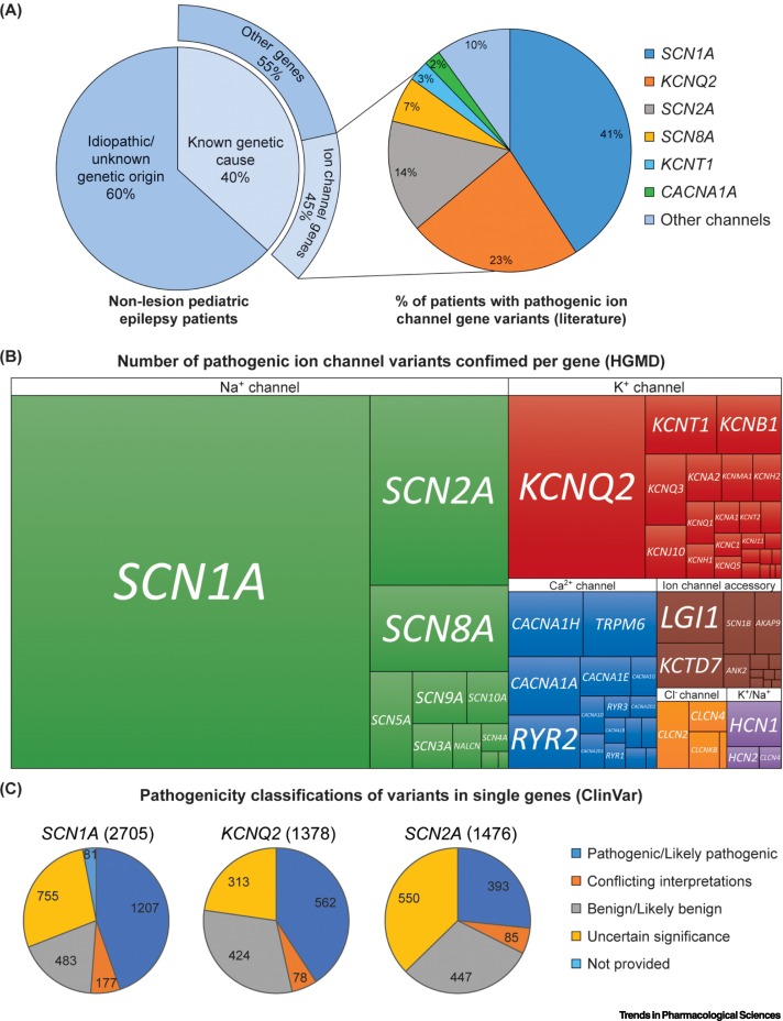 Trends in Pharmacological Sciences (@trendsinpharma) on Twitter photo ‘Channeling’ therapeutic discovery for epileptic encephalopathy through iPSC technologies, online now, review article from Evangelos Kiskinis and colleagues. <a href="/dsim9/">Dina Simkin</a> <a href="/NUFeinbergMed/">Northwestern Feinberg School of Medicine</a> cell.com/trends/pharmac… ‘Channeling’ therapeutic discovery for epileptic encephalopathy through iPSC technologies, online now, review article from Evangelos Kiskinis and colleagues. <a href="/dsim9/">Dina Simkin</a> <a href="/NUFeinbergMed/">Northwestern Feinberg School of Medicine</a> cell.com/trends/pharmac…