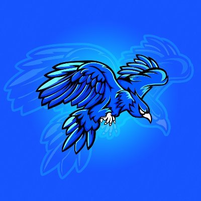 Disko Esports tweet media