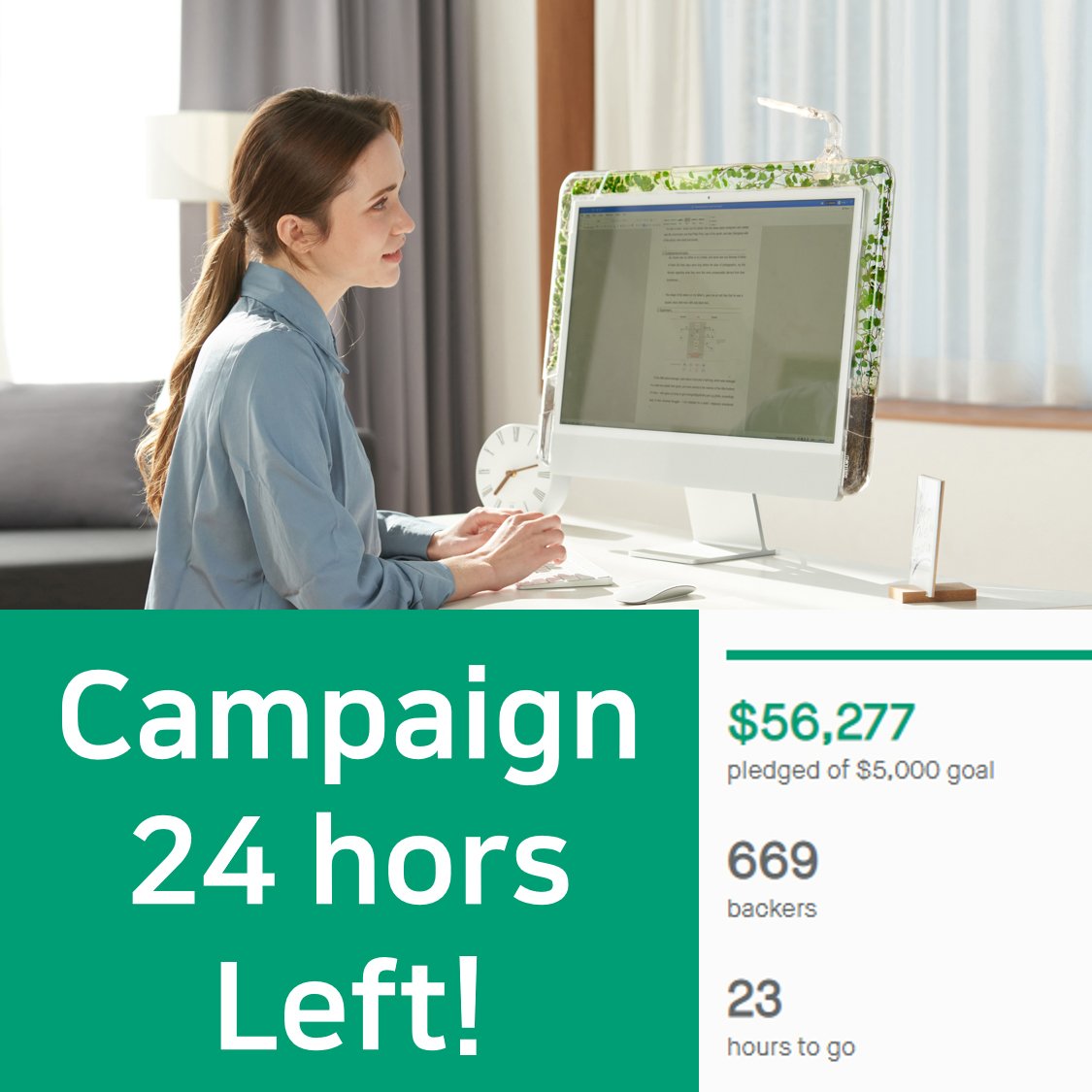pltris's tweet photo. Kickstarter campaign is just 24 hours left! $56,000 has been funded, and many backers love MONITREE❤

🚨The price will be higher after this Kickstarter campaign. Don't miss this Kickstarter campaign, which is 36% off!

https://t.co/rhczHQFUno https://t.co/AGeSjqFunl
