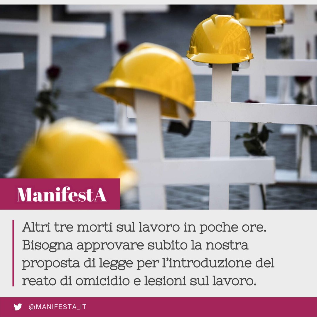 ManifestA tweet media