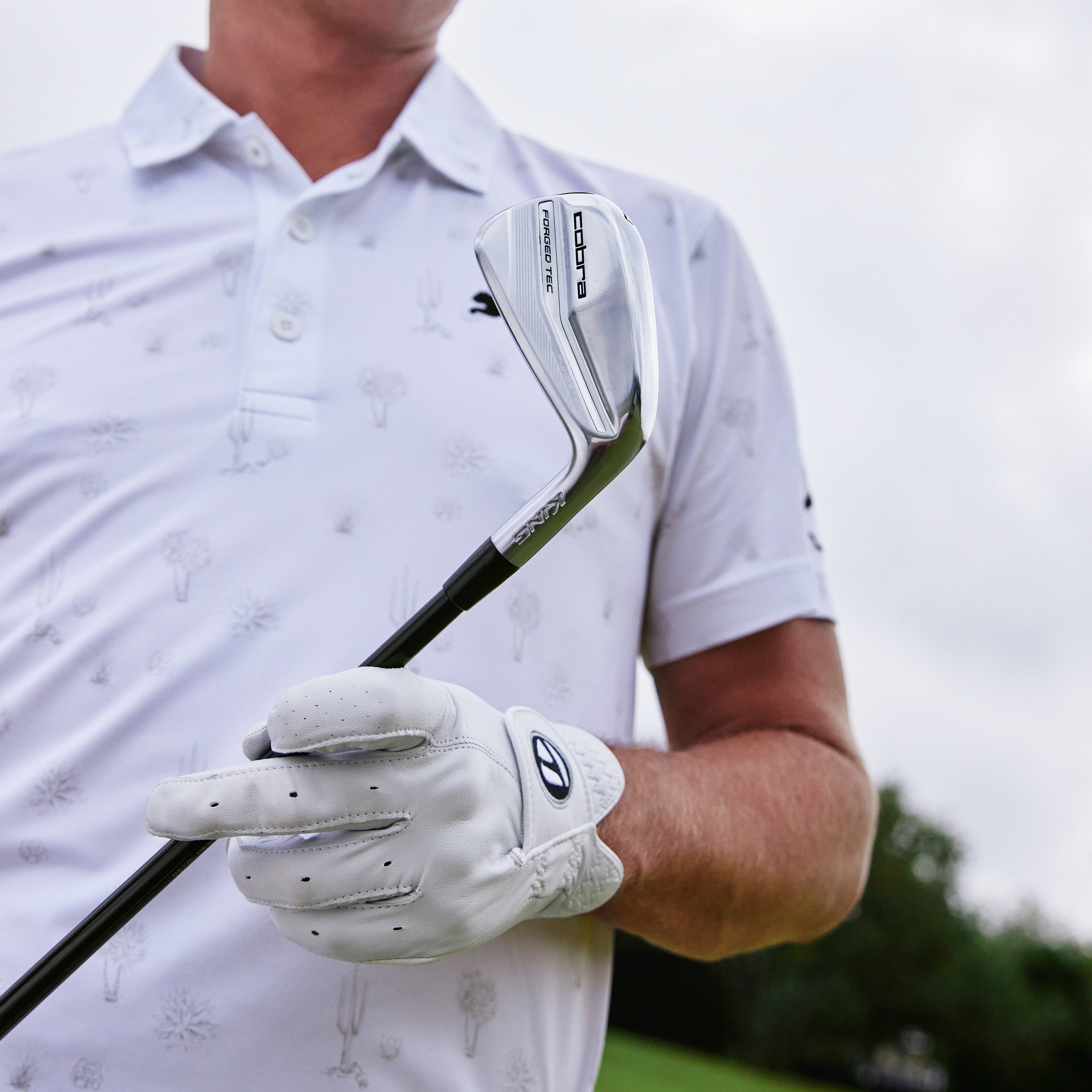King cobra hotsell golf shirts