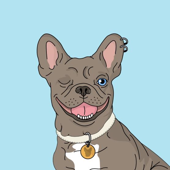 ExpansionFriend's tweet photo. @ExpansionFriend  X @lazy_b_frenchie  🤯

🎁 Prize
1    X  Lazy Bored Frenchie NFT 🎉
20 X xFRIENDS WL 🎉

To enter
1️⃣Join both Discords (bio) and Follow Twitters
2️⃣Like and Re-tweet
3️⃣React below 🎉

⏳Giveaway ends in 24h! Good luck everyone🧡

#NFT #NFTCommunity #NFTGiveaways https://t.co/xHGezi714P
