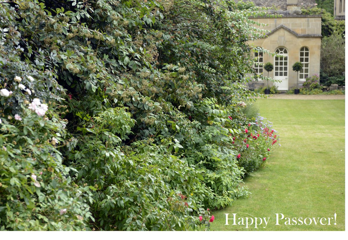 NewCollegeOx's tweet photo. Happy Passover! 

##Passover #NCCommunity https://t.co/zeM7UkozL4