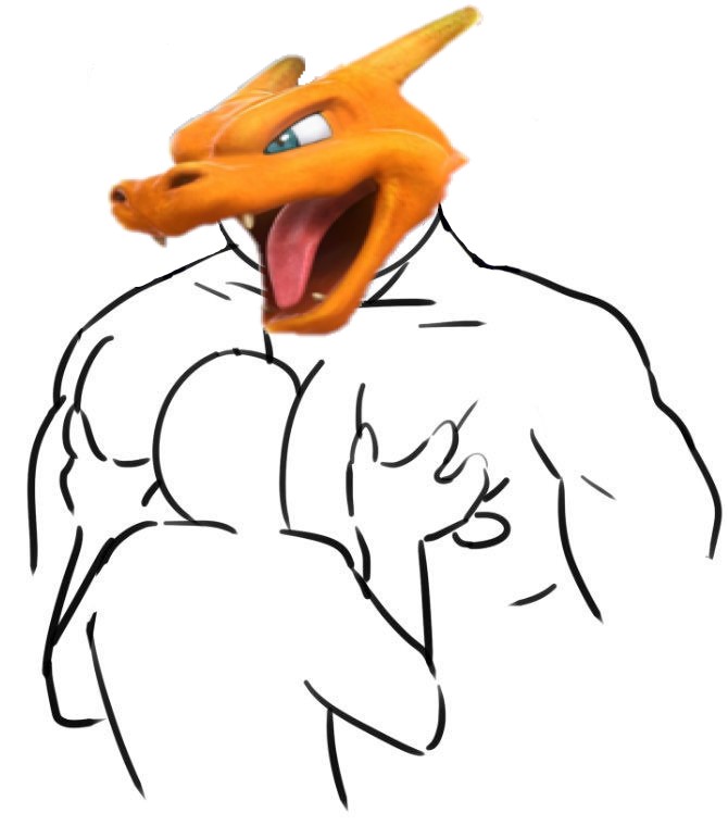 Me and pokken Charizard: