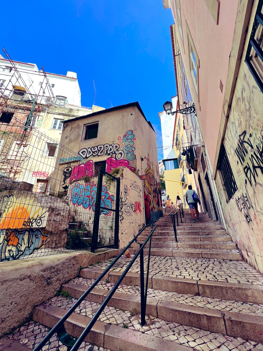 brady 🌴 tweet media