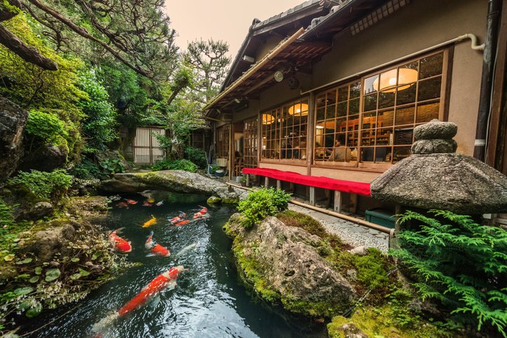 FWGdesigns's tweet photo. We go above and beyond to create a safe and healthy environment for fish. If you are interested in adding fish to your pond, you can feel confident that we will make a proper habitat for them. https://t.co/Ydq2oXF9MJ