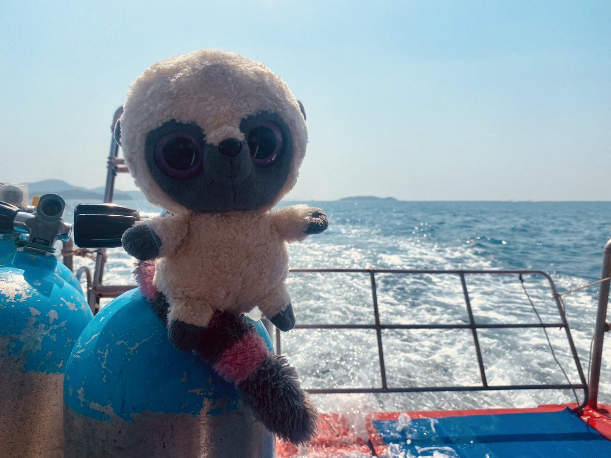 Day 7 - Well done to O, who has tracked Barney down to Thailand.

Today she felt very adventurous, and had a go at snorkelling. She saw so many beautiful 🐠 &amp; even a sea 🐢

Can you remember what we’ve learned about plastic &amp; the oceans?

Can you help Barney learn what to do?