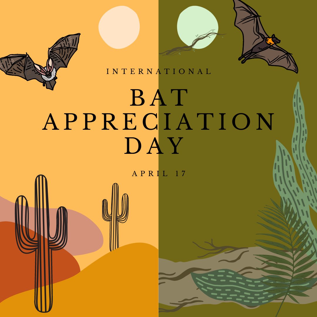 Thanks, Bats. 

From pollination to pest control, seed dispersal, and ecotourism, billions of bats are out there every night supporting human and wildlife health. #ThanksBats

#BatAppreciationDay #InternationalBatAppreciationDay