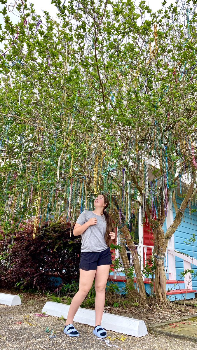 CeciliaBourque's tweet photo. When in Louisiana… #beadtree #MardiGras #cajunroots #ragincajun #Easter https://t.co/sxxrB2JnE8