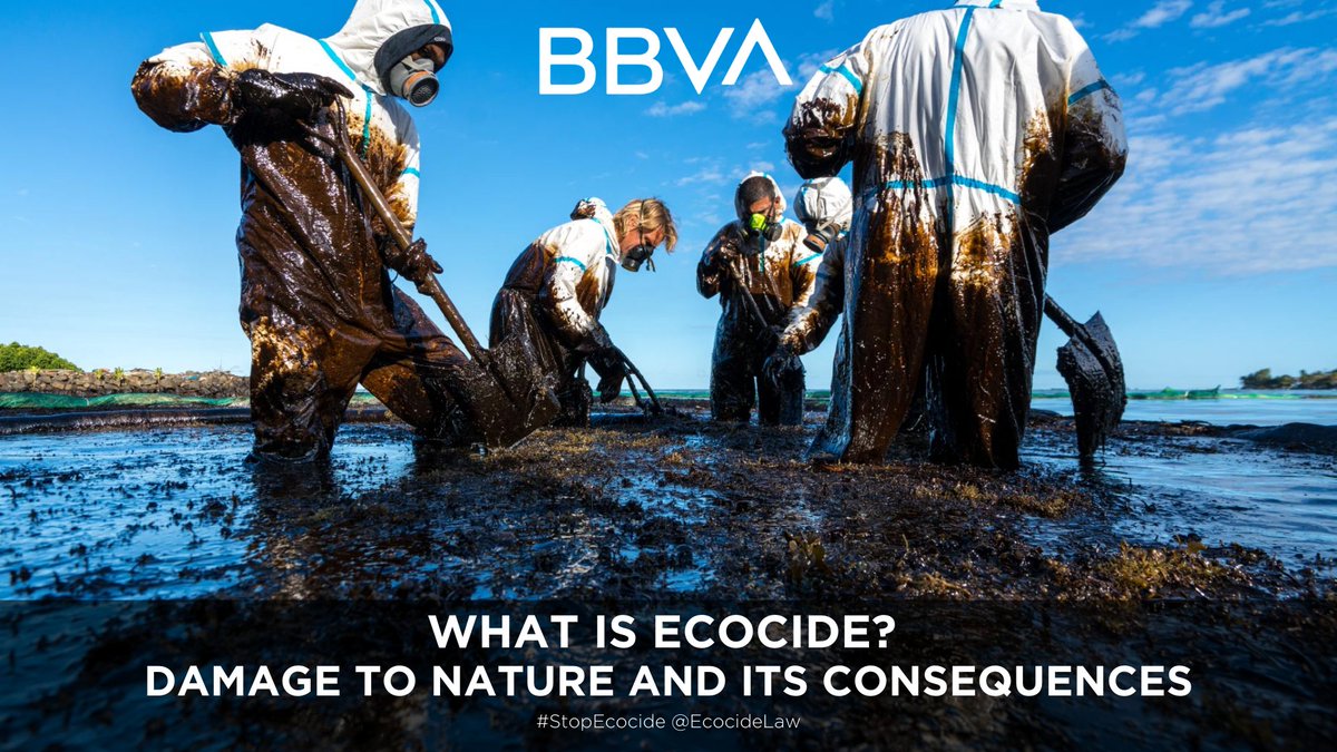 When a major bank publishes an article on #ecocide as part of their sustainability section… you know that the world is starting to pay attention! The <a href="/BBVA/">BBVA</a> wrote a supportive post on ecocide, its consequences and the need to enshrine it in international criminal justice systems.
