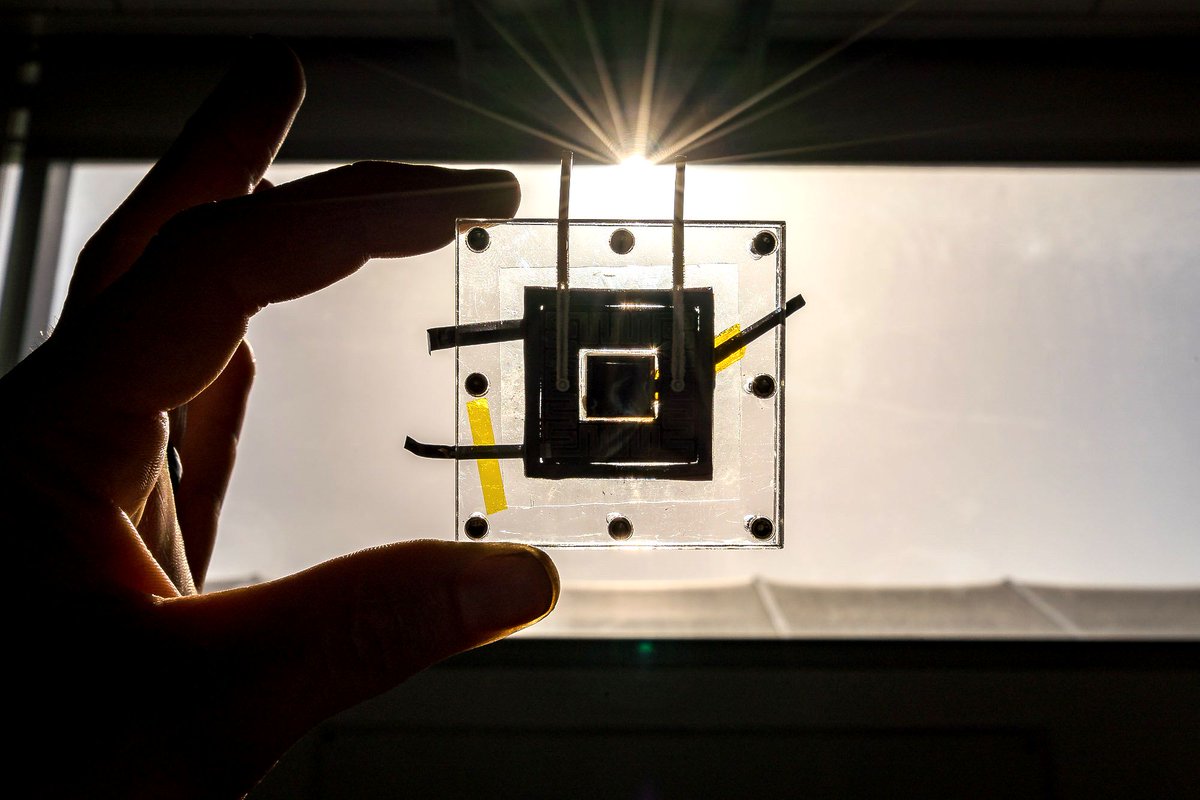 LBNLnext's tweet photo. Ever heard of the ~Liquid Sunlight Alliance~? Come to our @BayAreaSciFest event on 4/27 to learn about how @BerkeleyLab scientists are harnessing sunlight into the carbon-neutral fuels of the future! ☀️ 🌱 ⛽️
Learn more and register ⬇️
https://t.co/CnrOMPMDr7 https://t.co/1odDShMOR4