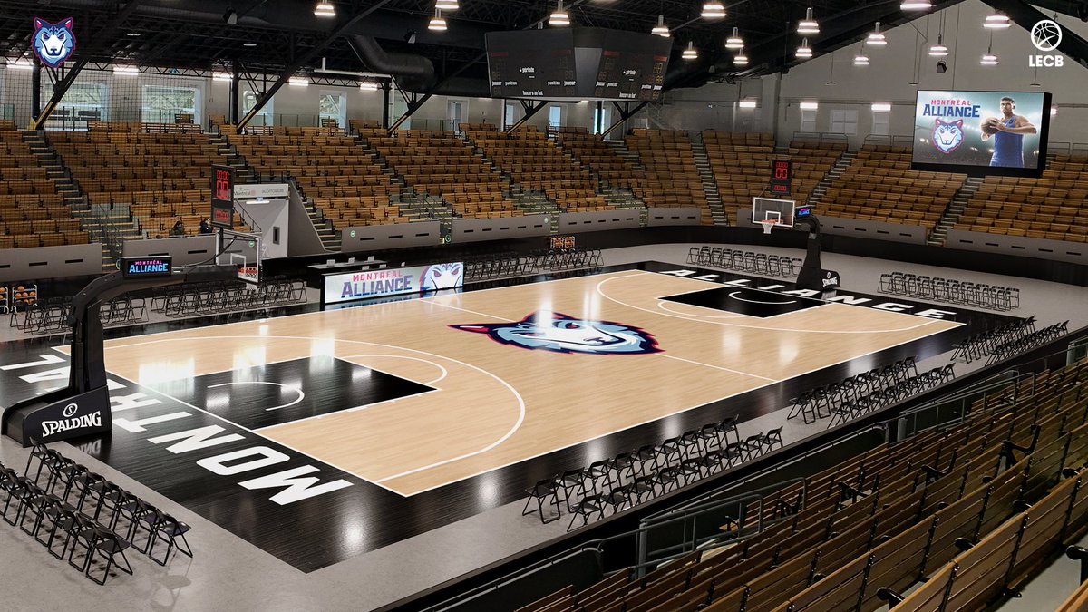 mtl_alliance's tweet photo. Here’s your chance to win a pair of season memberships, an autographed team jersey and an autographed basketball! 🏀🔥

To enter:
1. Fill out this form: https://t.co/e2dTMFJb9B
2. Tag a friend in a retweet
3. Follow our Twitter account https://t.co/uXjPVKNfGf