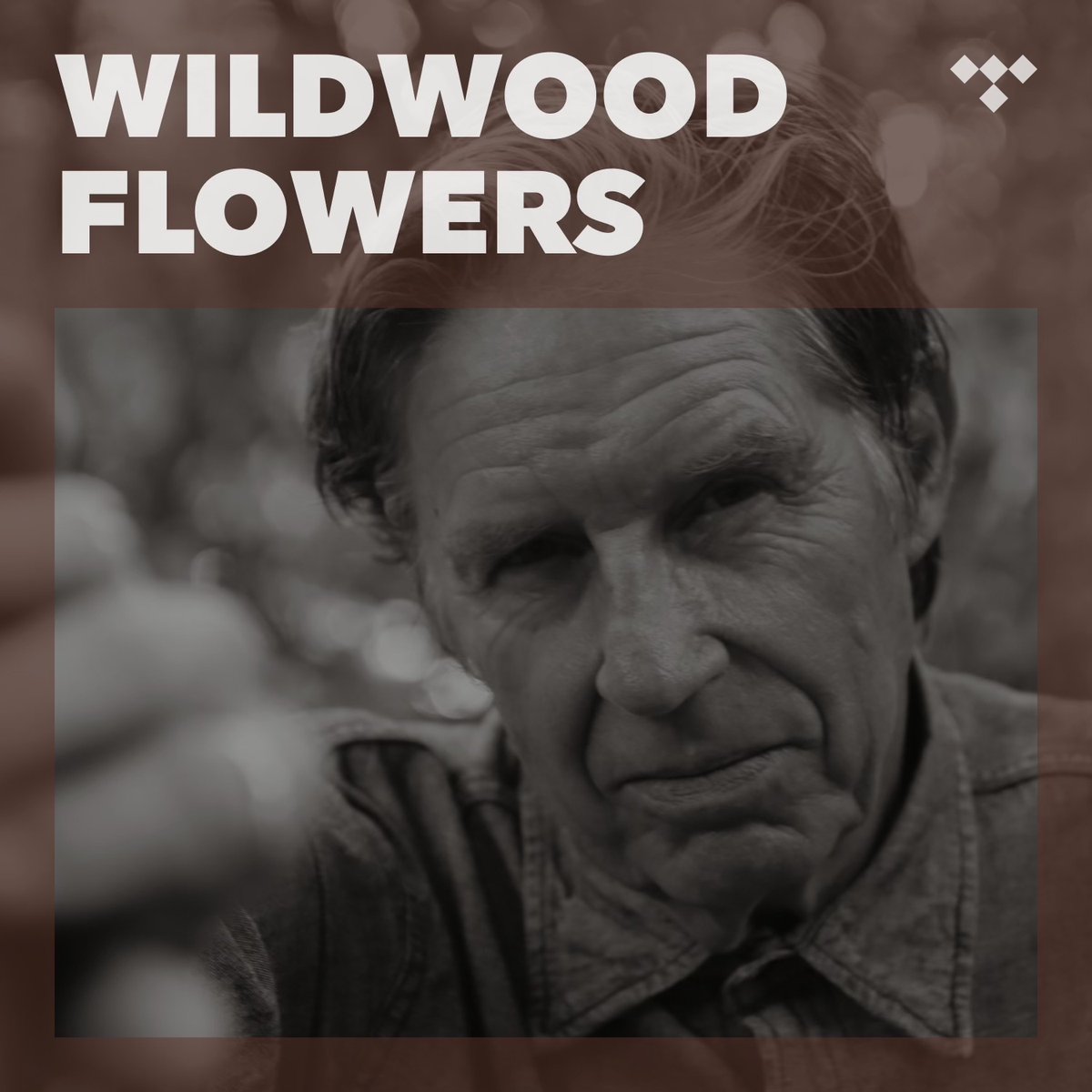 Check out my new single “El Romance-0” over on @tidal’s Wildwood Flowers playlist tidal.com/browse/playlis…