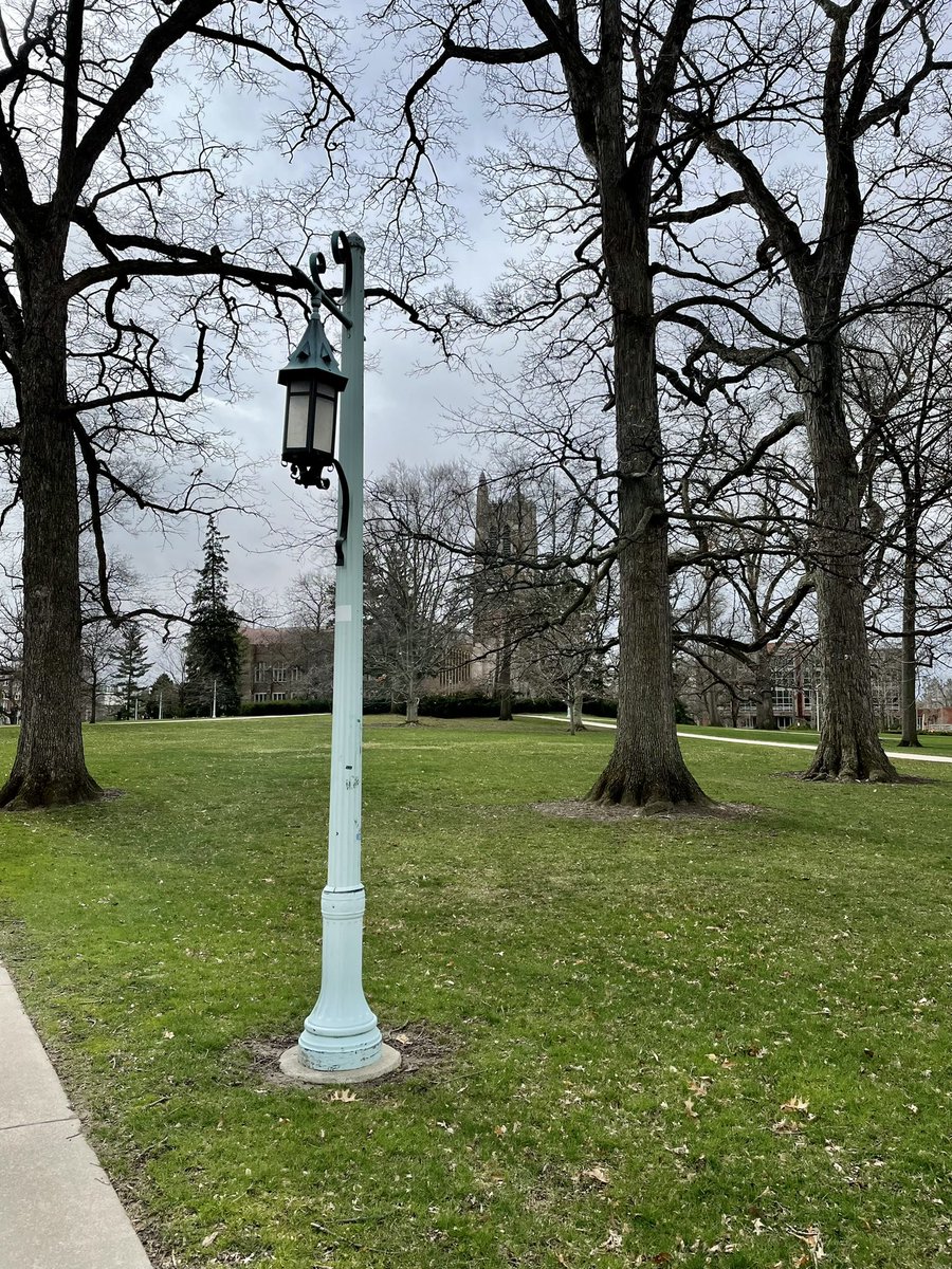 LanierLingvista's tweet photo. @frdbrick We just went for a walk across campus to decompress, too. It was cold and there were about 8 flowers blooming, but front campus is starting to look like the dream of a classic college experience again. #SpartanExperience #LifeOnScreens #distancelearningupclose https://t.co/J82BWEKDoL