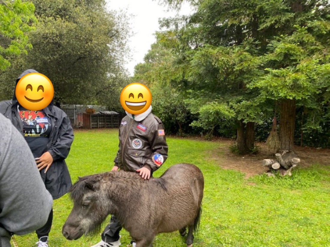 CRHKids's tweet photo. Thank you to Citrus Heights Rotary Club for treating our kids with an early easter celebration yesterday. Our kids had such an amazing time playing many fun activities & enjoyed spending time with new animal friends. Thank you to everyone who made this possible.
#Thankul https://t.co/LJJLfveRDz