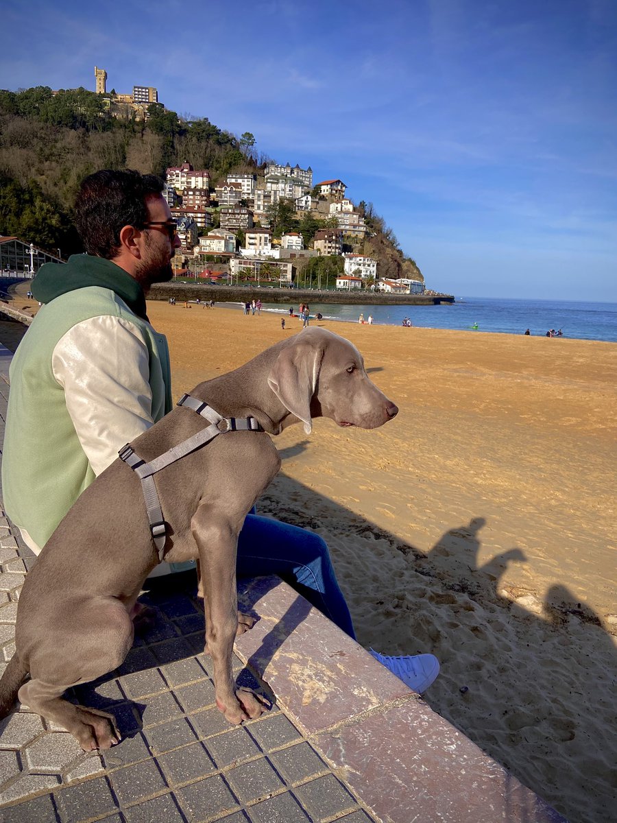 Tonit30's tweet photo. Loyalty is paid with loyalty 🧘🏻‍♂️🐺☀️ https://t.co/JPF8M12Tf8
