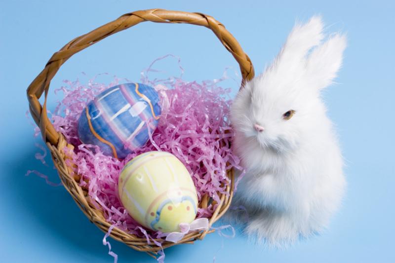 MernaLaw's tweet photo. Happy Easter from The Merna Law Group.  https://t.co/4HTR1Vqqnp
https://t.co/HhquZcgw72 https://t.co/dB1kzqRRNW