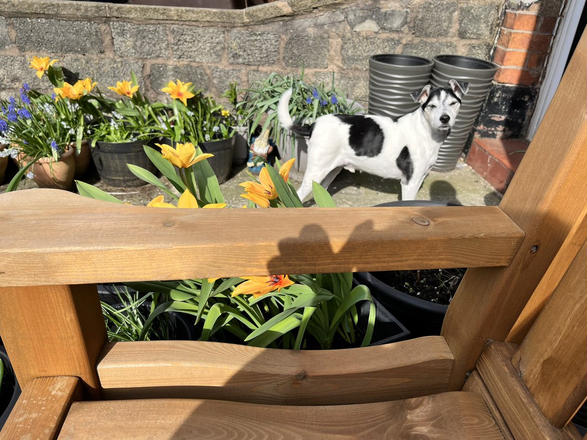 LittleAppleDol's tweet photo. A couple for our good friend @Maggarooo https://t.co/mVMOismCHN