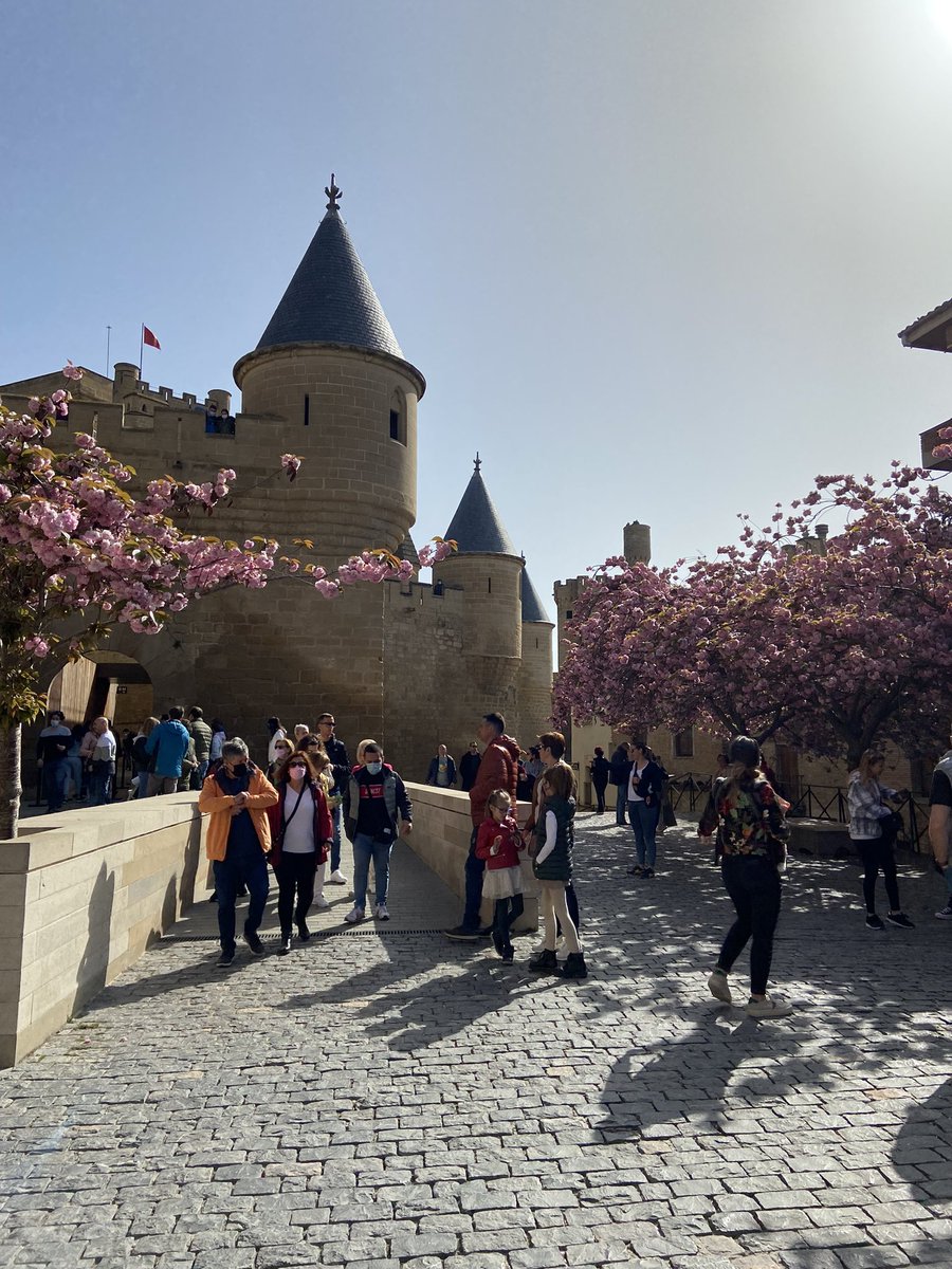 iratxearbeloa's tweet photo. Nunca había visitado el Castillo de Olite y tengo q decir q me ha encantado 😊 si venis a Navarra y teneis oportunidad, visitarlo parece de cuento (o al menos eso me ha parecido a mi) #castillodeolite https://t.co/6SODixypm1