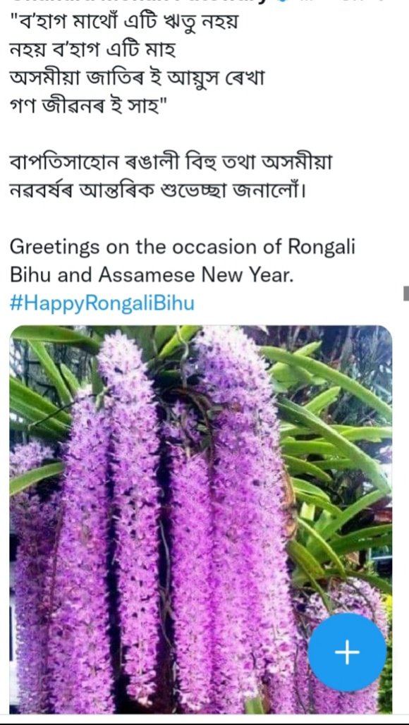 Rongali Bihu