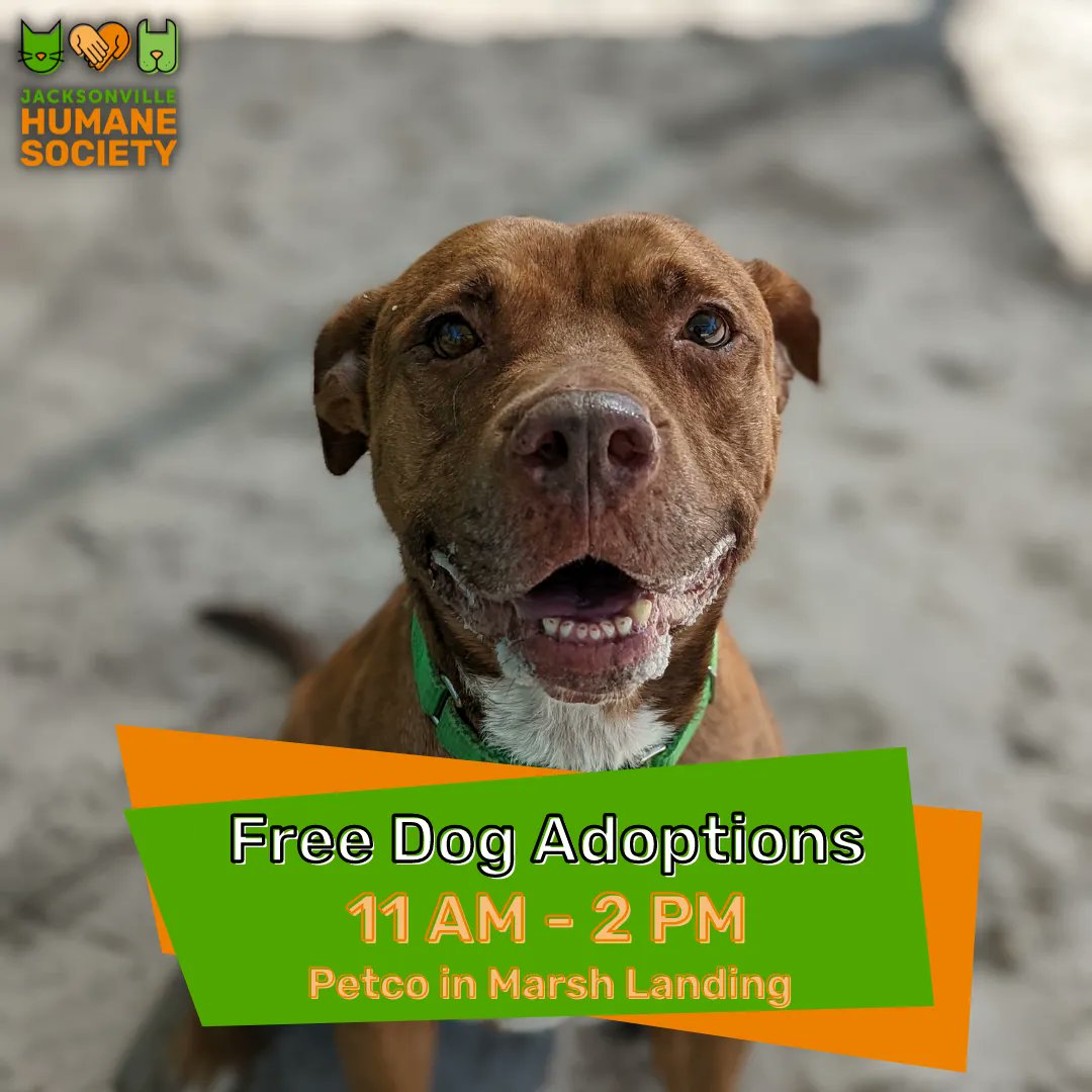 Does Petco Sell Puppies