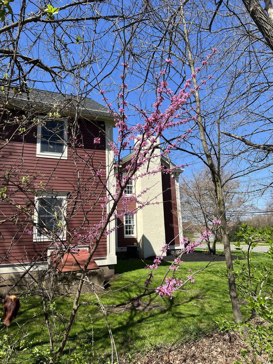 dangwenyi's tweet photo. The beautiful flowers from plants emerging from a bitterly cold winter reminded me of the resilience of the human spirit and ability to emerge stronger. The challenges the world is dealing with today will pass. Now is the time to stay focused on innovative ideas without wavering. https://t.co/xD29a3fhlZ
