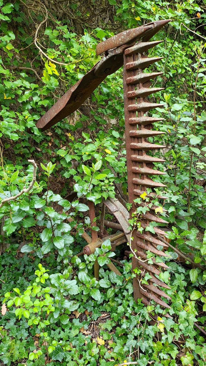 PhilippeContal's tweet photo. La nature reprend ses droits.
#nature #foret #rouille #temps #oubli #oxydation #machineagricole https://t.co/HVhlmjXHN1