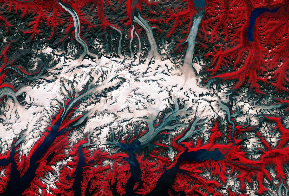 ESA_EO's tweet photo. This beautiful view is brought to you by the @CopernicusEU #Sentinel2 B satellite. This is Alaska’s Columbia Glacier, one of the most rapidly changing glaciers in the world. You can explore the image in more detail: https://t.co/yyEiDIozjc https://t.co/1uMqL7RDct