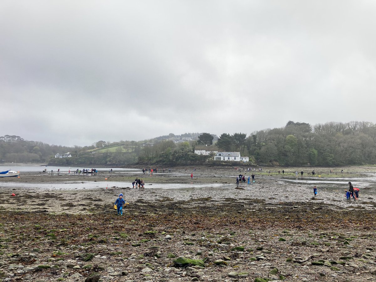 RebeccaLWills's tweet photo. Plenty of people enjoy the #Cornish #GoodFriday #tradition of #trigging on the #Helford today … even in the mizzle/rain! 🙄
#Cornwall #cocklepicking #lovewhereIlive #vitaminsea https://t.co/IasMOd8Ncq