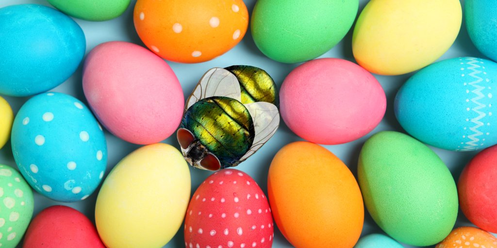 PestStop_UK's tweet photo. There are some eggs you don't want in your house this Easter... Keep your house protected this Easter with Pest-Stop 
https://t.co/xEjdc6WGd6 https://t.co/z3iSXHBxuE
