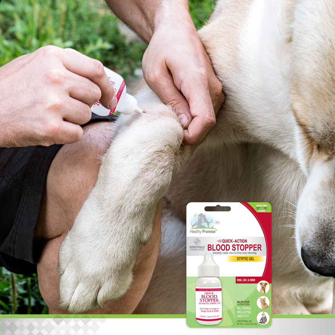 Four Paws Products on Twitter: Four Paws Products on Twitter: