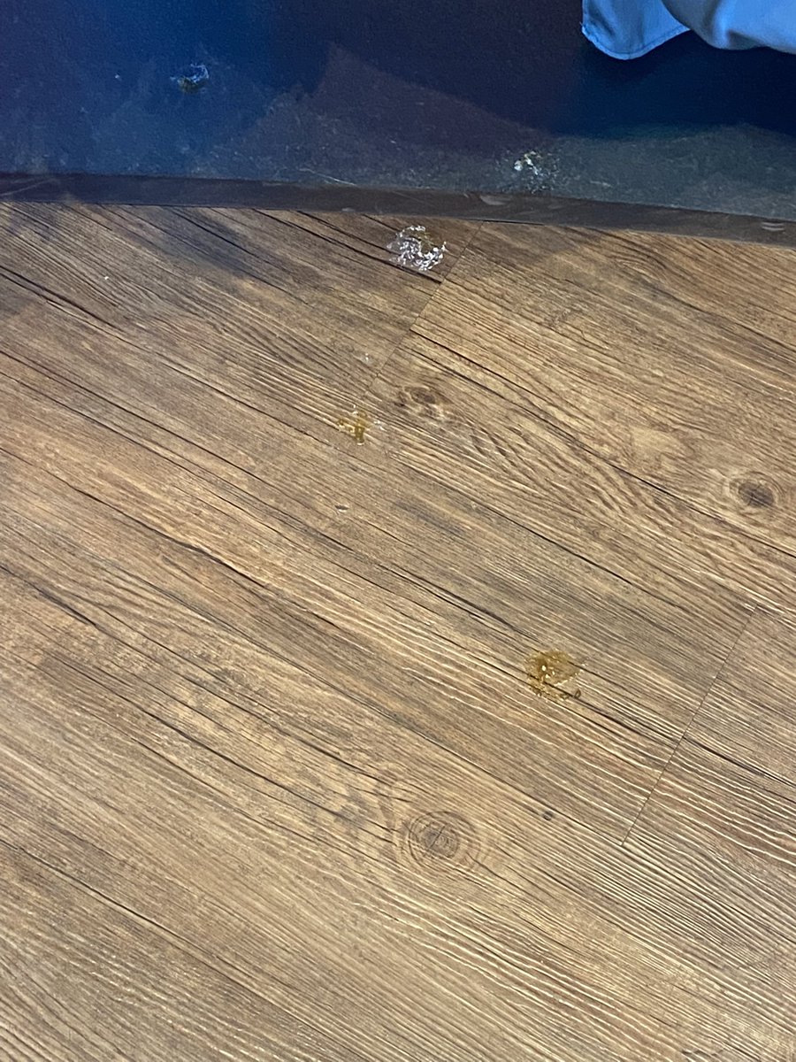 A photo of bird poo splatters on the floor