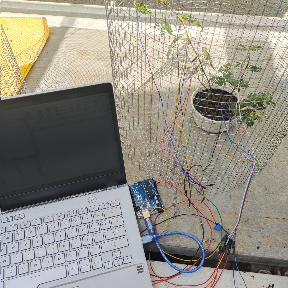 ronn_concepcion's tweet image. Initial setup for my plant signaling experiment using a low-cost Arduino uno with microsignal sensors and an installed Faraday cage to attenuate noise. 
#homeexperiment #plantsignaling