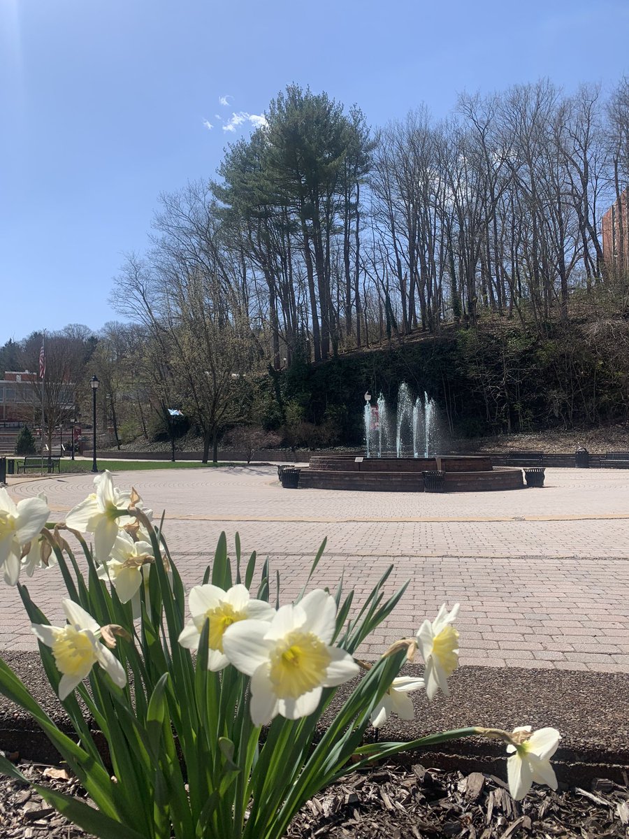 Spring is in the air! 🌼🌷☀️ What do you miss about spring at LHU?
<a href="/LockHavenUniv/">CU-Lock Haven</a>