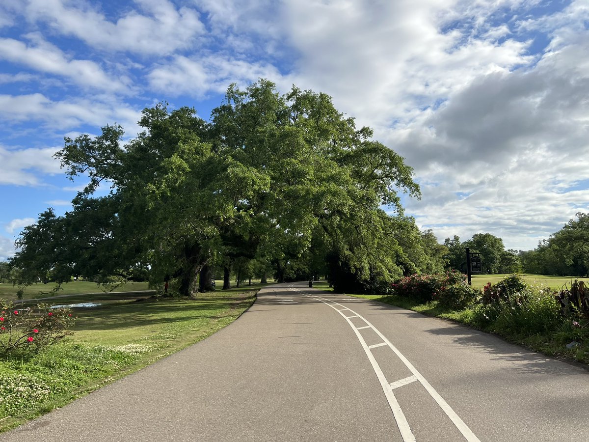 DGutenplan's tweet photo. Walked in Audubon yesterday. Truly gorgeous #sgsx17 https://t.co/2Eg8gQOJzq