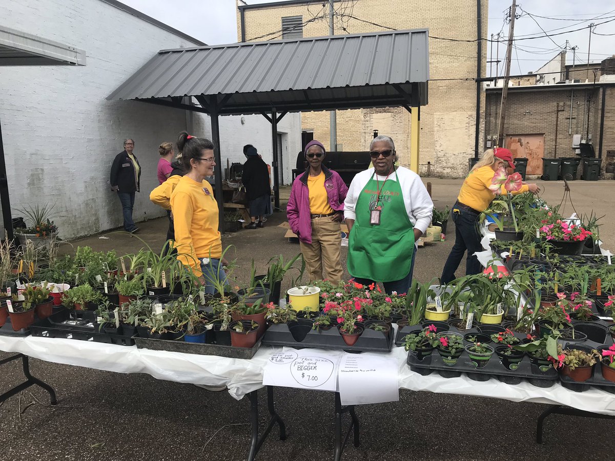 MarshallCoExt's tweet image. Marshall County Master Gardener Plant Sale