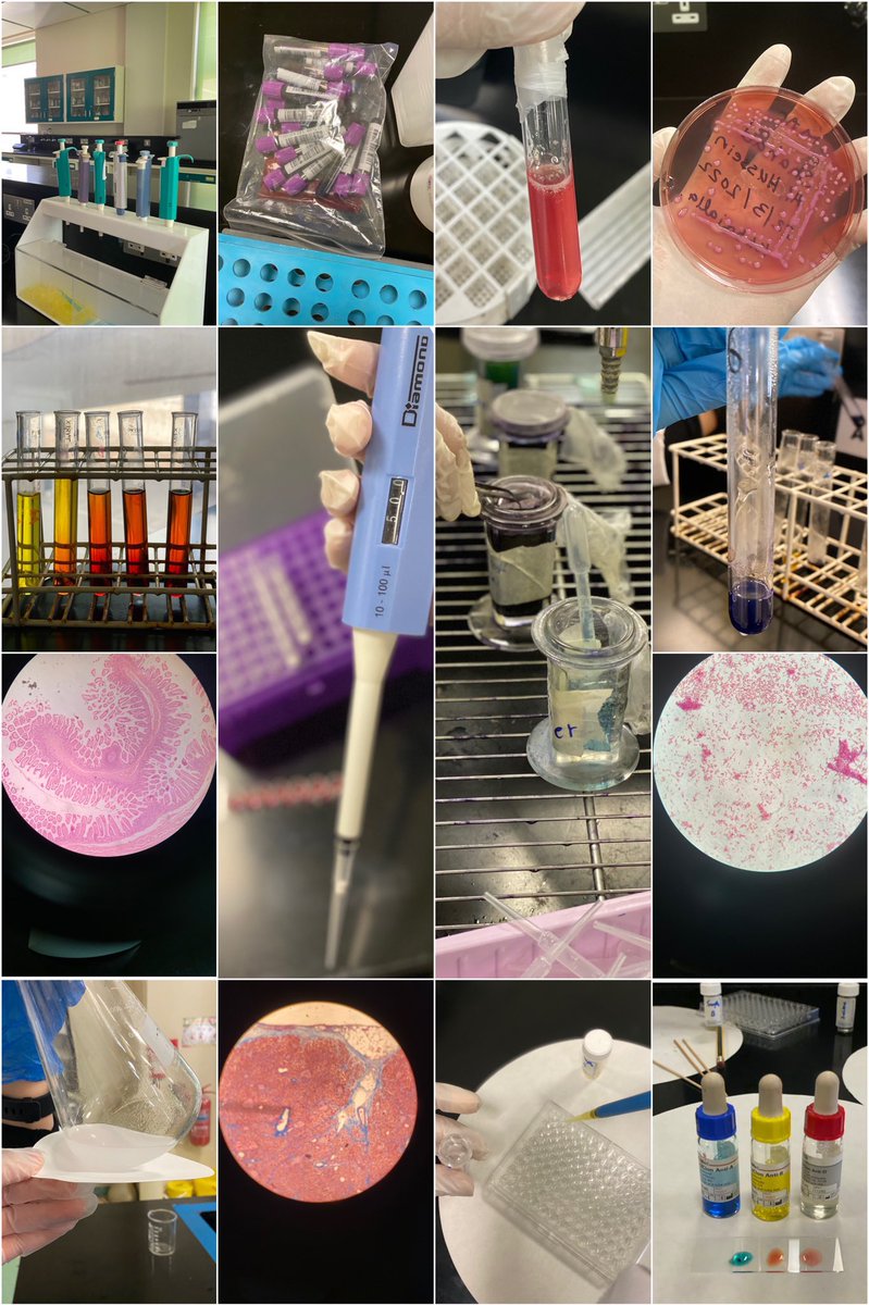 كل عام وأنتم أبطال👩🏻‍🔬👨🏻‍🔬
دمتم ودام عطاؤكم🙏🏻.. 
#اليوم_العالمي_للمختبرات