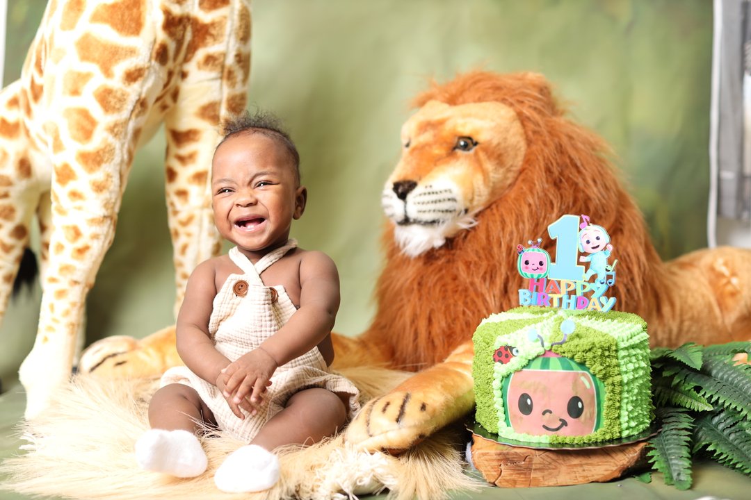 World Tree tweet media