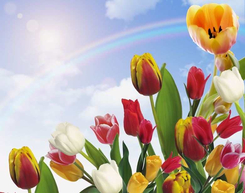 BenenatiFoot's tweet photo. Happy Passover and Easter to all celebrating from #AnthonyBenenatiDPM, #NeilShawDPM, #McKennaGreenDPM and everyone at #BenenatiFootandAnkleCareCenters! https://t.co/R13cW1wdLc

#StClairShoresMI #WarrenMI #MacombMI #podiatrist #footdoctor https://t.co/iDUC9Bxmda