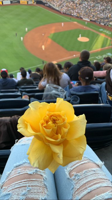 Where my single ladies at? I&rsquo;ve been curious lately 😻 send me a message and let&rsquo;s get drinks! https://t<a href="/tag/sellingcontent"class="tags"><span>#sellingcontent</span></a>